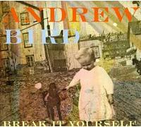 Bird, Andrew - Break It Yourself