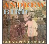 Bird Andrew - Break It Yourself: Limited (2 CD)