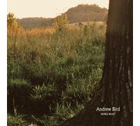Andrew Bird Noble Beast (Vinyl LP)