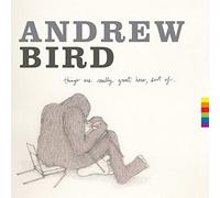 Andrew Bird Things Are Really Great Here, Sort Of... (Vinyl LP) 12" Album