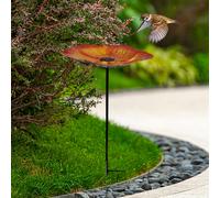 Bird Bath Bird Eighder Regali Accessori di grande capacità Ornamento a