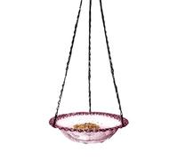 Bird Bath Feeder, Birdbaths for Outdoors, Heavy-Duty Metal Waterer Station, Decorative Basin for Patio Wildlife Viewing, Balcony Deck Observation, 24x24x6cm, Apartment Window Photography