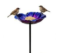 Bird Bath - Ferro 14 cm | Petals riflettenti Design Bee Water Station Pole | Height Garden Bird Bath - Per cortile cortile balcony ferrovia piscina terra ponte finestra patio