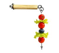 Bird Bird Feeder For Cage | Stainless Steel Foraging Fork With Wooden Perch