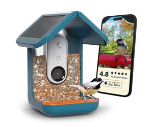 Bird Buddy - Mangiatoia Intelligente per Uccelli Blu con Pannello Solare Pro - BBG1003BAD