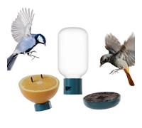 Bird Buddy Set nutrizionale 3 in 1, accessori per uccelli da esterno con fontana, punta per frutta e mangiatoia per gelatina, durevole, facile da attaccare per la casetta degli uccelli