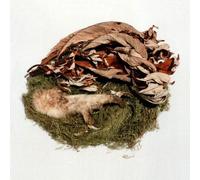 Bird By Snow - Offering [VINYL]