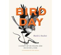 Bird Day: A Story of 24 Hours and 24 Avian Lives