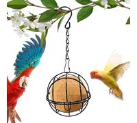Bird Eighder Balls - Wild Bird Meeder | Alimentatori di uccelli in acciaio inossidabile | Distributore di alimentazione a sfera di Suet | Decorazione da giardino fuori palline sospese alimentatori di