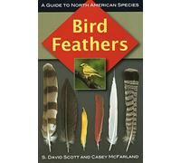 Bird Feathers: A Guide to North American Species (Birds Ornithology)