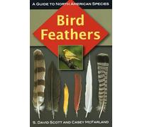 Bird Feathers: A Guide to North American Species (Birds Ornithology)