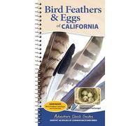 Bird Feathers & Eggs of California: Identify 40 Species of Common Backyard Birds