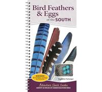 Bird Feathers & Eggs of the South: Identify 40 Species of Common Backyard Birds