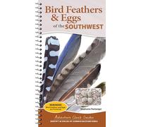 Bird Feathers & Eggs of the Southwest: Identify 40 Species of Common Backyard Birds