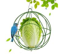 Bird Feeder Cage for Outdoors - Chew Proof Hollow Feeding Container, Metal Bird Feeder for Backyard, Garden, Balcony, Patio, Tree, Porch, Park | Hollow Chew Proof Feeding Station for Outdoor Birds