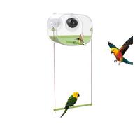 Bird Feeder Camera, Suction Window Video Feeder, 6,3 x 4,7 pollici Weatherproof Clear Container, Wildlife Observation Tool for Hummingbird Sparrow Parakeet Garden Balcony