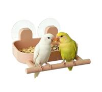 Bird Feeder Window | Suction Cup Feeding Station | Clear Design