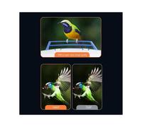 Bird Feeder with Sensor Camera, AI-Enabled Wildlife Monitoring, A