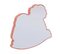 Bird Heater - Constant Temperature Warmer Pad Plate With Bite Proof Cord, S