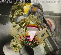 Bird Names - Metabolism.A Saluteto the Energy of the Sun