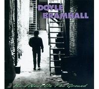 Bird Nest on the Ground by Doyle Bramhall (1997-01-14)