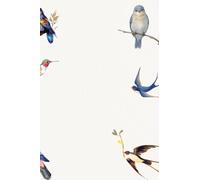 bird notebook| Cute Notebook| pretty Notebook: cute notebook | pretty notebook| bird notenook