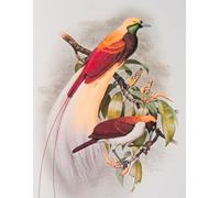 "Bird of Paradise Journal: 140-Page Tropical Floral Notebook - Exotic Botanical Writing Diary for Women & Travel Lovers - Aesthetic Gift Paperback
