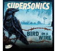 bird on a wire