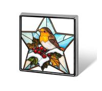 Bird on Snowy Winter Brunch con frutti di bosco spille unisex e spille quadrate leggere bavero distintivo gioielli per abbigliamento scialle cappello