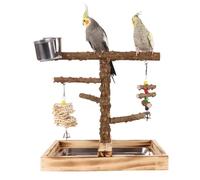 Bird Play Stand - Bird Person Stand Toys | Parco Giochi Di Pappagalli Con Tazze Di Alimentazione | Palestra Di Parrocchetto Da Masticazione | Giocattoli Di Playstand Per L'alimentazione 'allenamen