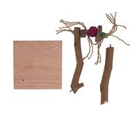 Bird playstand in legno masticare artigli macinate pappagalli di allenamento con base per cockatiel