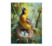 Bird Puzzle 500 Pezzi Rompicapo Per Ragazzi Wild Animals Pet Birds Gioco Educativo Sfida Intelligenza Creativa Idea Regalo Per Figlio A Natale 500 PCS