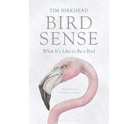 Tim Birkhead Bird Sense (Tascabile)