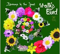 Bird, Wallis - Blossoms in the Street