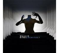 Bird,Wallis - FAMILY Architect (2 LP)