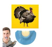 Bird Whistles Noise Maker - Funny Bird Whistle Toys Noise Makers, Novel Bright Colors Noisemaker Toys, Creative Fun Unique Noisee Makers For Birthday April, Fool's Day, Celebrations