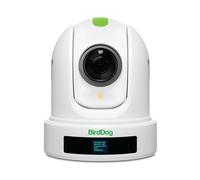 BirdDog P110 PTZ Camera 1080P with 10x Zoom, OLED screen