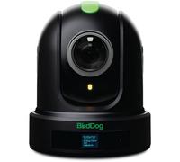BirdDog P110 PTZ Camera 1080P with 10x Zoom, OLED screen