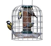 Birdfeeder Guardian Jacobi Jayne - Mangiatoia per uccelli a prova di scoiattolo UK - Mangiatoia per uccelli da appendere per mangiatoie per uccelli solo per piccoli uccelli - Piccola