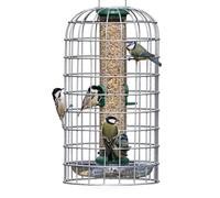 Birdfeeder Guardian Jacobi Jayne - Mangiatoia per uccelli a prova di scoiattolo UK - Mangiatoia per uccelli da appendere per mangiatoie per piccoli uccelli solo per piccoli uccelli - Medium