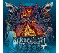Birdflesh Sickness in the North (Vinyl LP) 12" Album