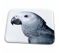 Birds - African Grey Parrot Zerbino Asciugapassi Lavabile In Lavatrice Tappeti Da Bagno Assorbente Tappeto Entrata Per Esterno Corridoio Doccia 40X60 Cm