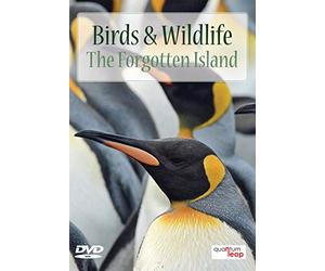 Birds And Wildlife: The Forgotten Island [DVD]
