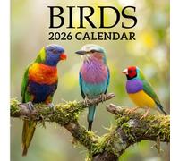Birds Calendar 2026: Beautiful Bird Photography for Nature and Wildlife Lovers