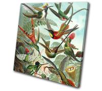 Birds Floral Tropical Vintage Animals SINGLE TELA parete arte foto stampa