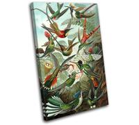 Birds Floral Tropical Vintage Animals SINGLE TELA parete arte foto stampa