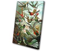 Birds Floral Tropical Vintage Animals SINGLE TELA parete arte foto stampa