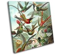 Birds Floral Tropical Vintage Animals SINGLE TELA parete arte foto stampa