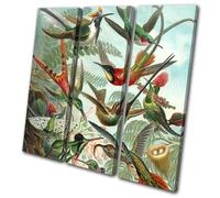 Birds Floral Tropical Vintage Animals TREBLE TELA parete arte foto stampa