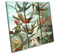 Birds Floral Tropical Vintage Animals TREBLE TELA parete arte foto stampa